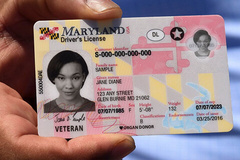 Maryland Licensing image 1